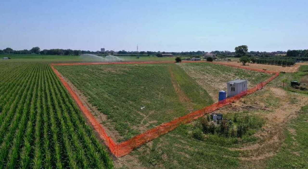 biogas 232 guerra totale in ballo 7 milioni di danni dopo il no alla centrale di san marco la societ224 chiede un maxi risarcimento al comune di fermo