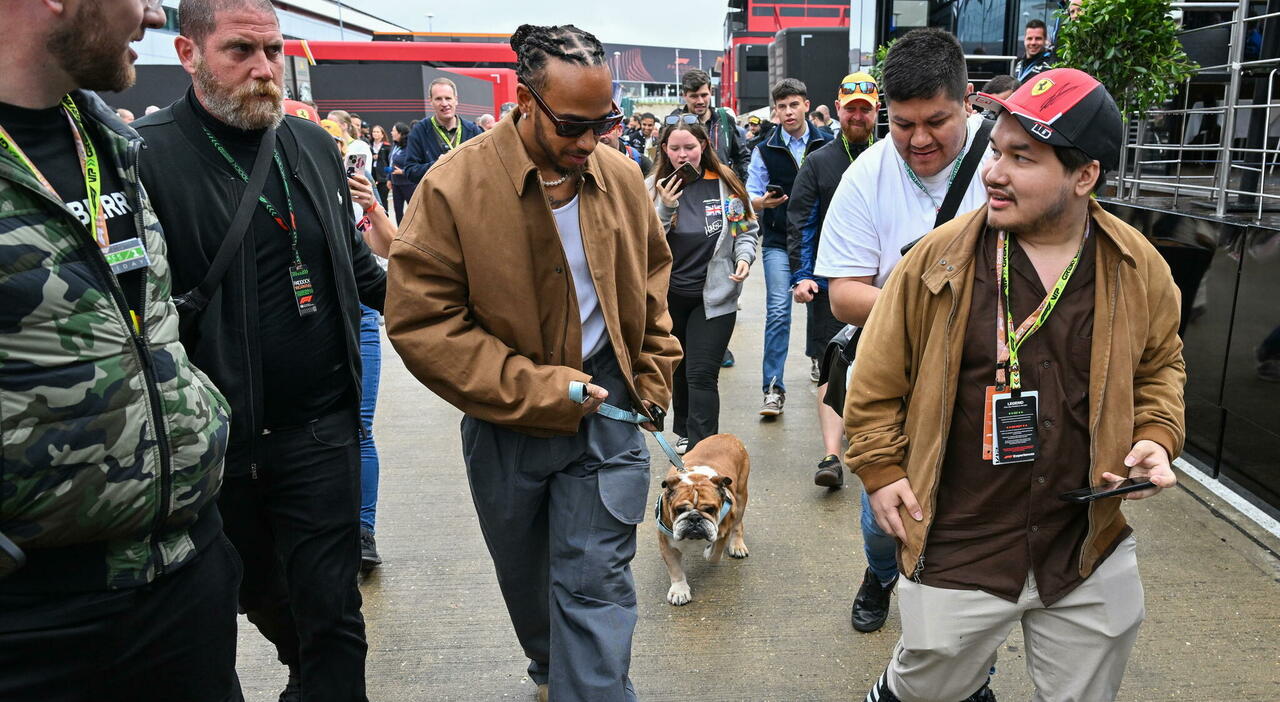 Lewis Hamilton con il suo cane Roscoe a Silverstone