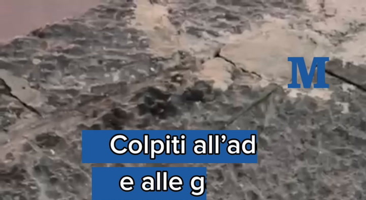 https://statics.cedscdn.it/photos/MED_HIGH/2025/09/28/9095221_poster.jpg