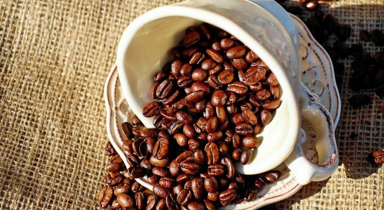 Caffè, pro e contro (e falsi miti) della caffeina. L