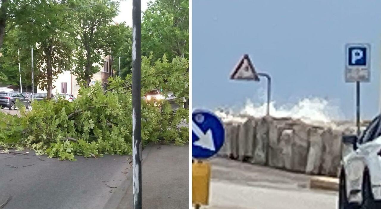 Raffiche di vento fino a 100km orari, la tempesta Amy arriva sulle Marche: i sindaci vietano i luoghi pubblici
