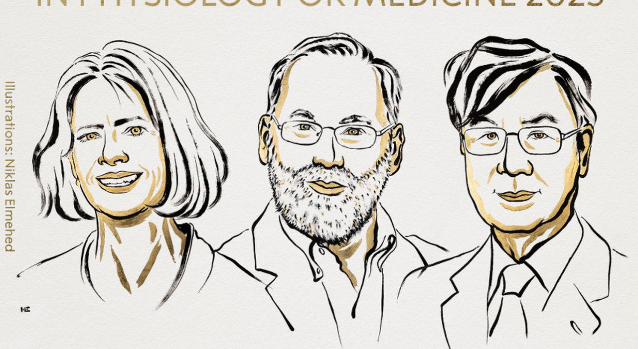 premio nobel per la medicina a brunkow ramsdell e sakaguchi per la scoperta del meccanismo con cui il sistema immunitario reagisce alle infezioni
