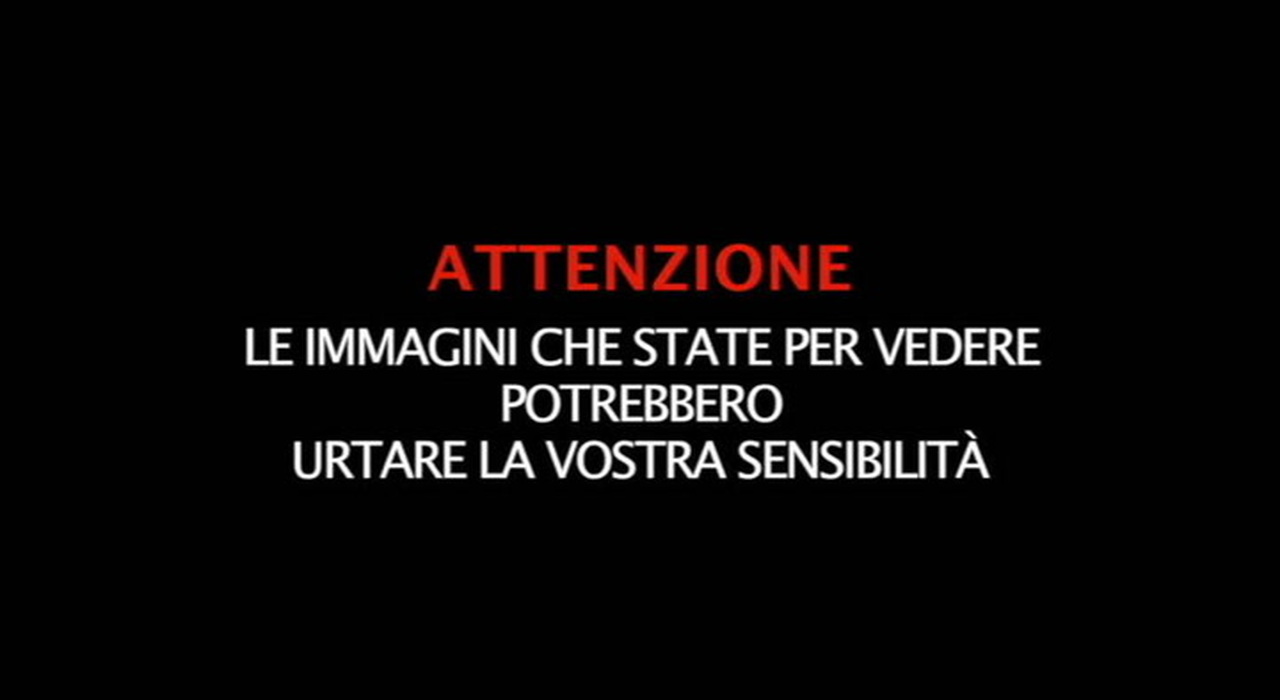 https://statics.cedscdn.it/photos/MED_HIGH/2025/10/06/9110513_poster.jpg