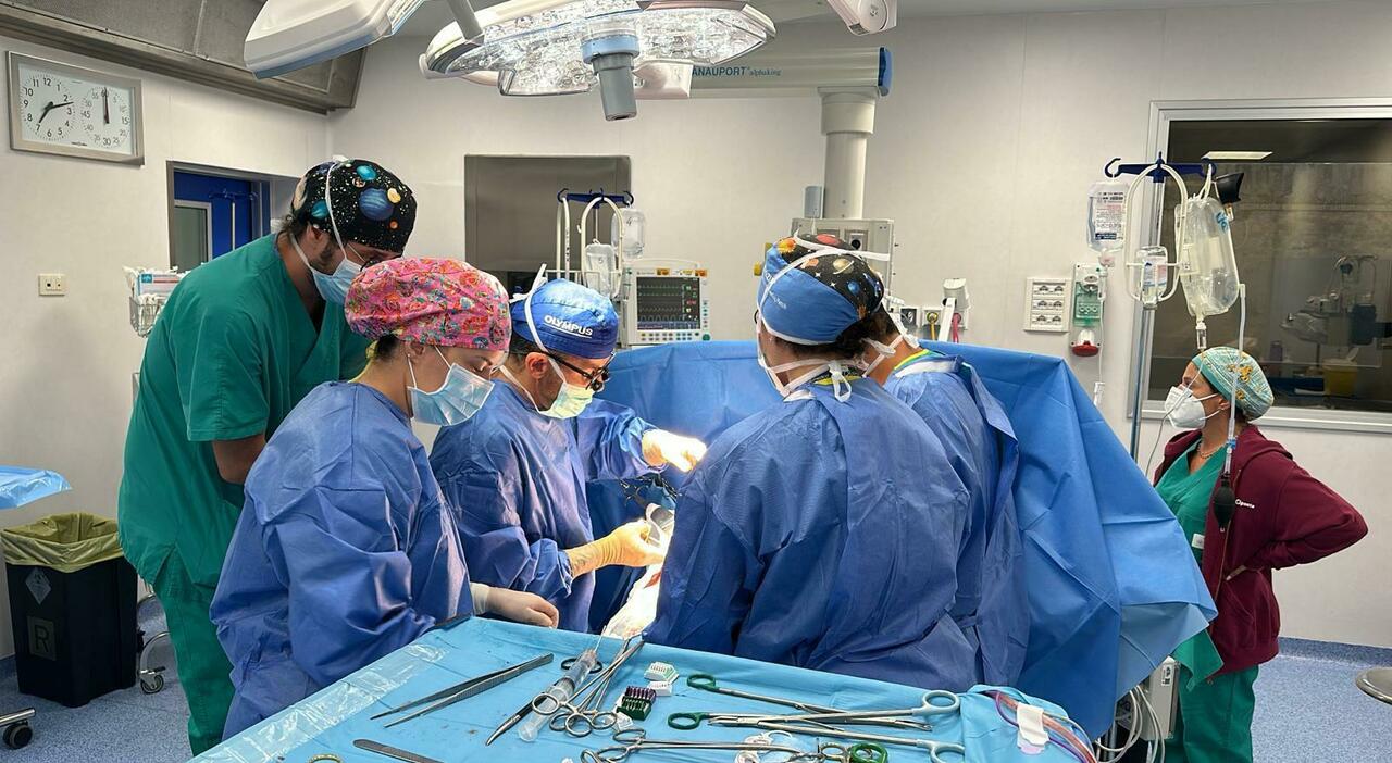 https://statics.cedscdn.it/photos/MED_HIGH/2025/10/07/9112640_07150229_sala_operatoria.jpg