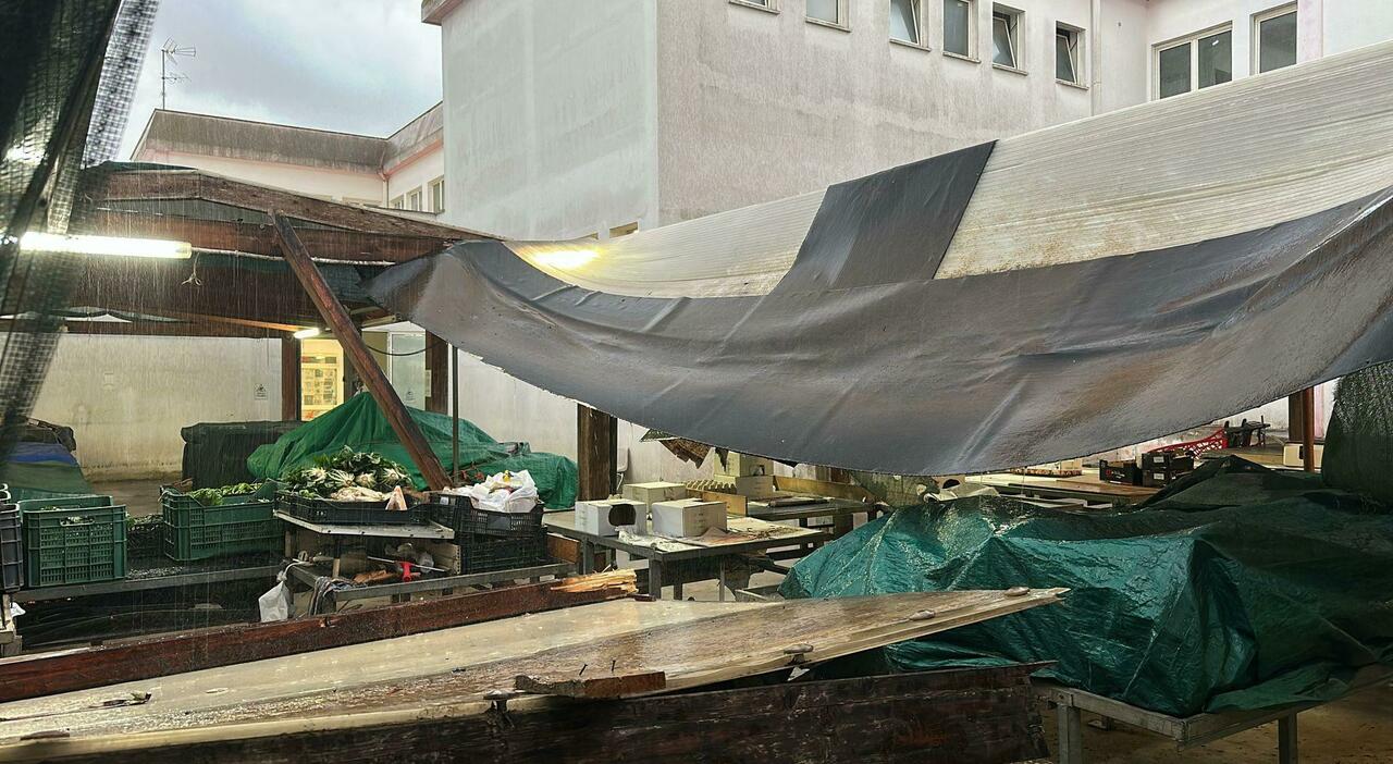 mercato ortofrutticolo inagibile l area esterna riservata ai coltivatori diretti dopo il crollo arriva lordinanza