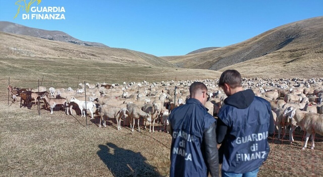 Truffa da 20 milioni con i fondi Ue: aziende moltiplicate per avere finanziamenti. Indagati 48 imprenditori tra Veneto e Friuli