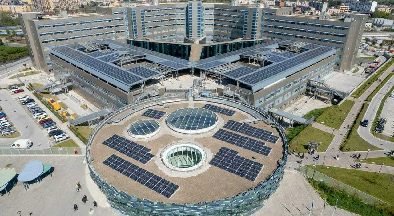 infastidisce i pazienti sedata e legata alla barella 39enne va in arresto cardiaco e muore in ospedale