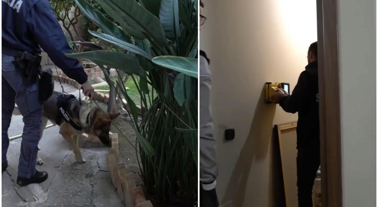 uccide i figli appena partoriti e li nasconde nell armadio mamma 25enne agli arresti domiciliari choc a reggio calabria indagato il fidanzato