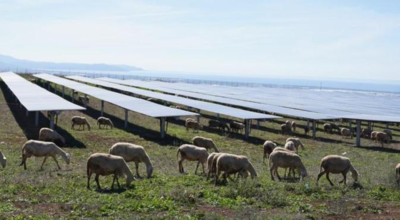 gas eolico e fotovoltaico la sfida delle rinnovabili con il patto pubblico privato