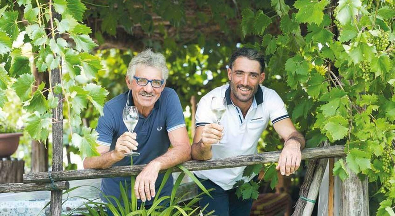 https://statics.cedscdn.it/photos/MED_HIGH/2025/10/11/9120830_11122541_matteo_forner_morto_papa_lino_saluto_sei_stato_grande_castelcucco.jpg