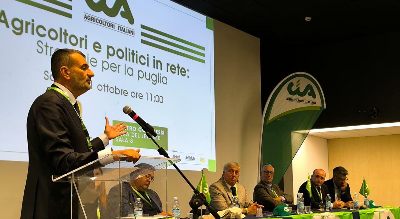 regionali decaro e lincognita stea a rischio candidatura e sesta lista paolicelli nuova storia