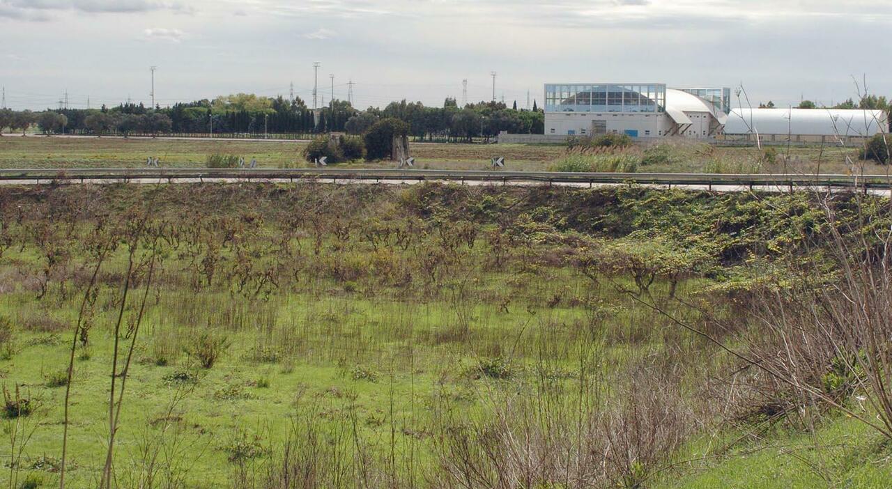 attorno a new arena e nuovo stadio un quartiere sportivo commerciale per riempire il vuoto tra santelia e la rosa