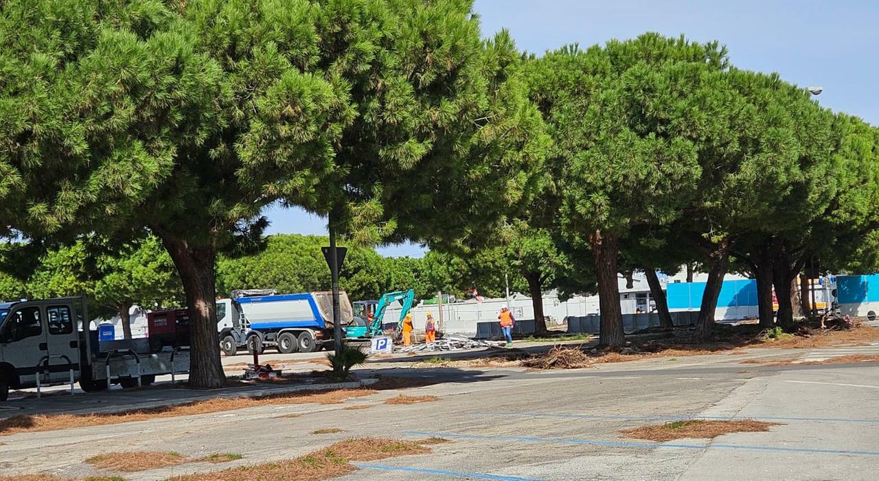 Brt, ruspe nel primo capolinea: In un mese sarà completata un?area da 9mila metri quadri Brt, ruspe nel primo capolinea: In un mese sarà completata un?area da 9mila metri quadri