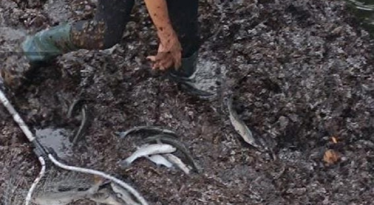 Salento, bacino ostruito da sabbia e immondizia: c Salento, bacino ostruito da sabbia e immondizia: c