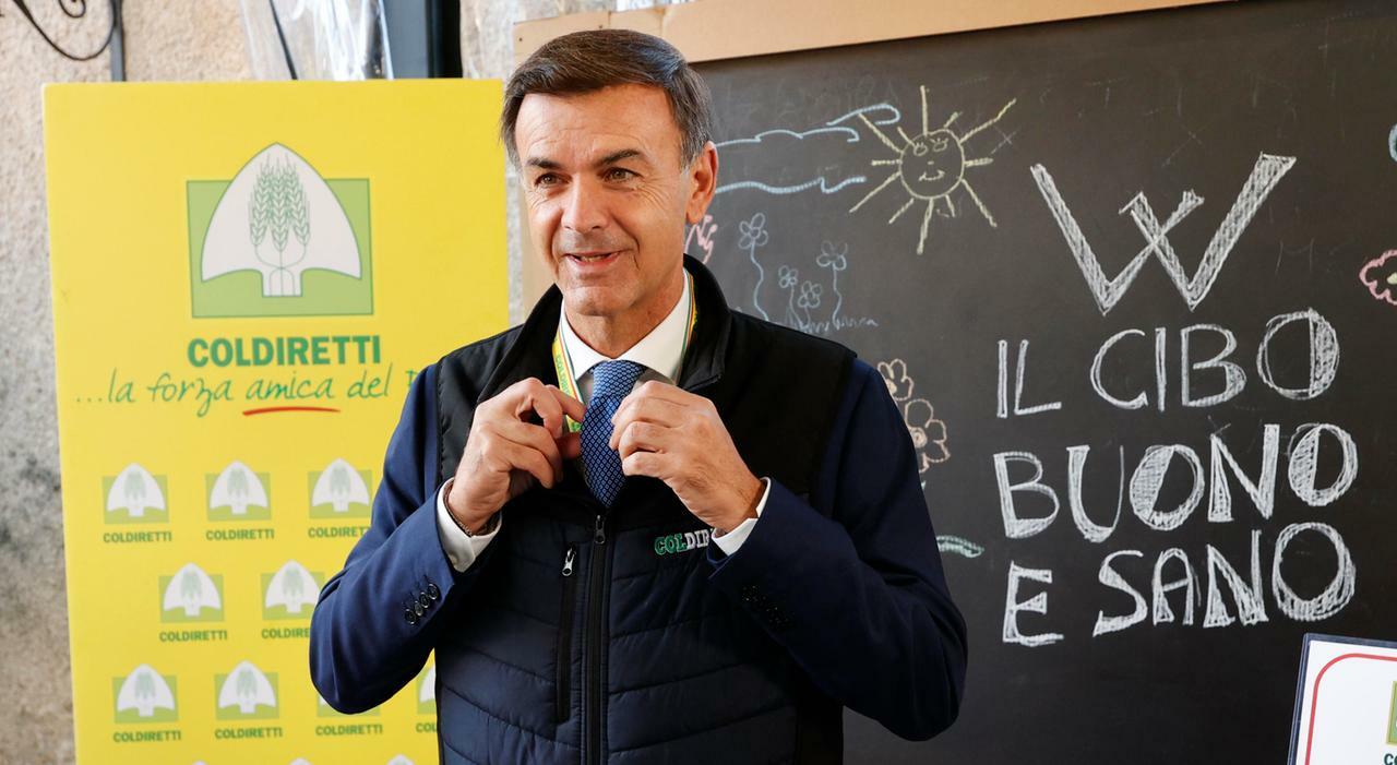L?agroalimentare vale 707 miliardi: crescita trainata da Sud e innovazione L?agroalimentare vale 707 miliardi: crescita trainata da Sud e innovazione