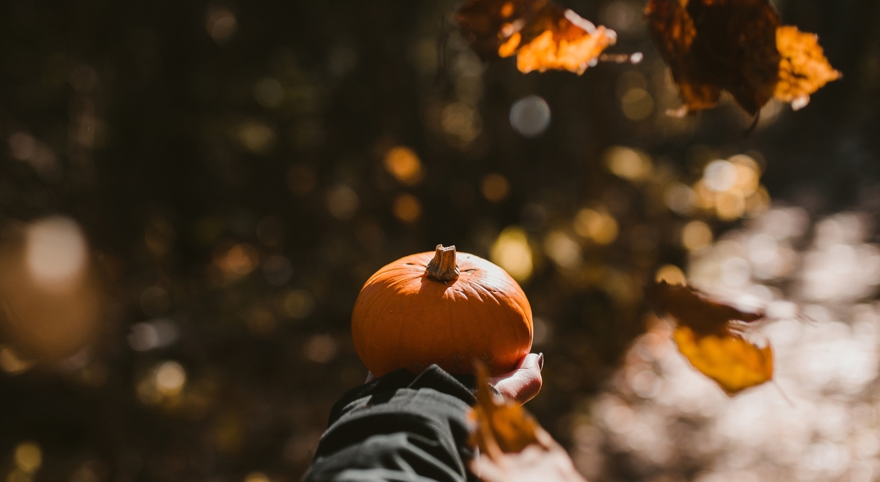 https://statics.cedscdn.it/photos/MED_HIGH/2025/10/15/9128975_15170439_halloween_ponte_di_ognissanti_eventi_zucche_cibo_menu_consigli_mete_firenze_oggi_17_ottobre_2025.jpg