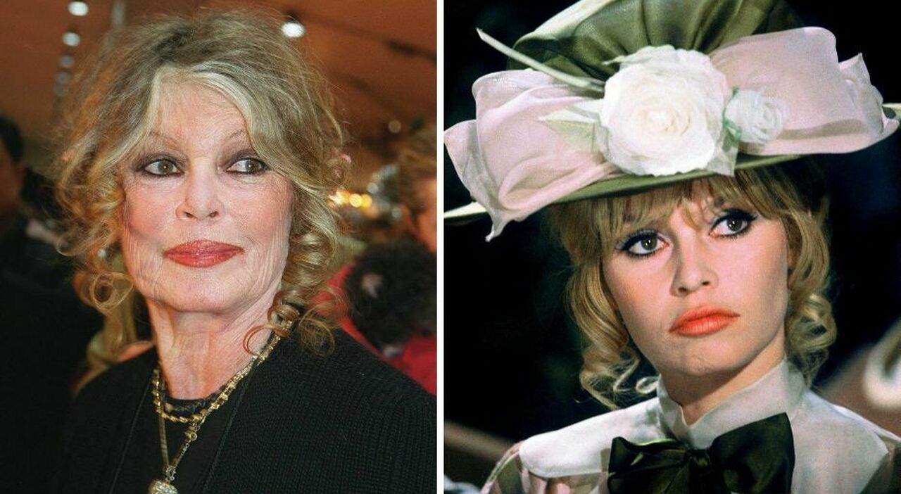 https://statics.cedscdn.it/photos/MED_HIGH/2025/10/17/9132767_17092934_brigitte_bardot_operata_ricoverata_grave_malattia_quale_come_sta_attrice_oggi_17_ottobre_2025.jpg