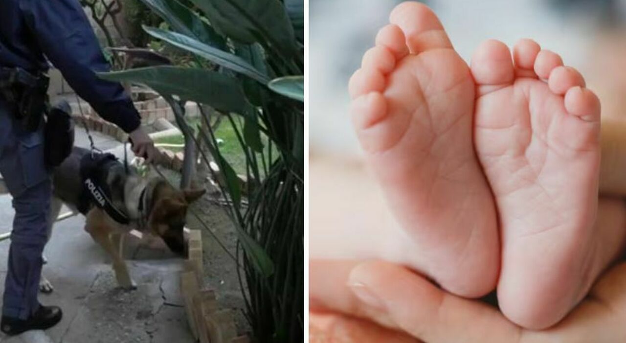 neonati uccisi e nascosti nell armadio i messaggi della 25enne al fidanzato in ospedale non si sono accorti di nulla la bugia e il dubbio del tumore