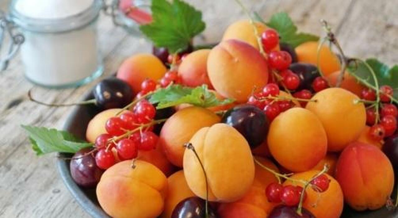 Caldo estremo, siccità e gelate: cambia la geografia agricola. Frutti tropicali anziché ciliegie Caldo estremo, siccità e gelate: cambia la geografia agricola. Frutti tropicali anziché ciliegie