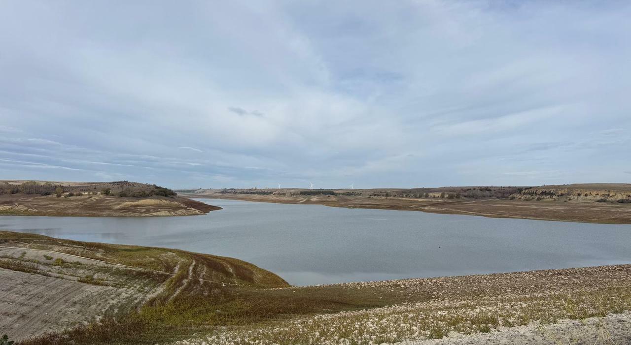 Fango al posto dell?acqua, la diga di Occhito assetata. «Campagne in ginocchio» Fango al posto dell?acqua, la diga di Occhito assetata. «Campagne in ginocchio»