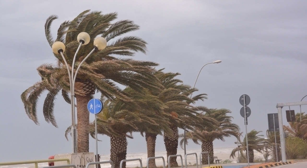 Vento forte sulle Marche, attenzione al Föhn: allerta meteo arancione per l