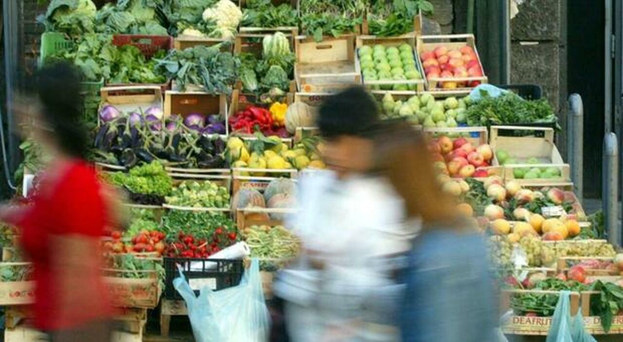 Frutta e verdura, prezzi alle stelle: 4 famiglie su 10 costrette a tagliare e la salute è a rischio Frutta e verdura, prezzi alle stelle: 4 famiglie su 10 costrette a tagliare e la salute è a rischio