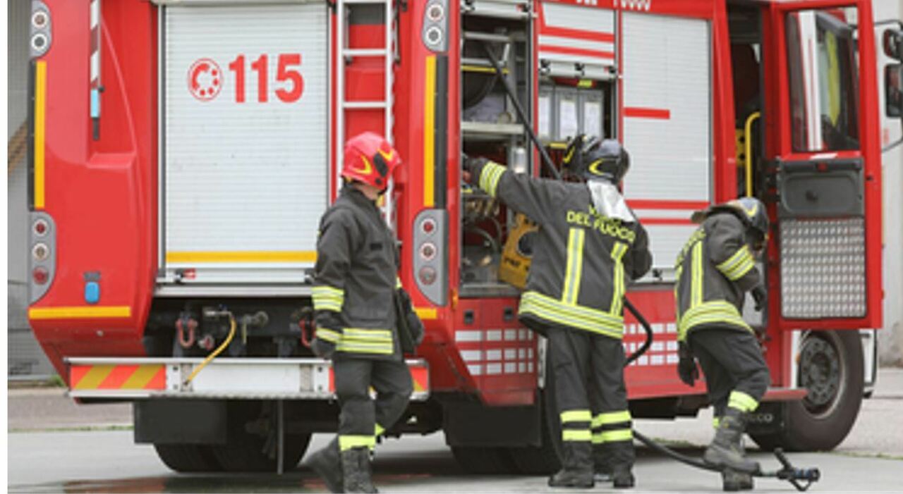 correte forse 232 morto i soccorritori si trovano davanti un pitbull e il padrone stava solo dormendo