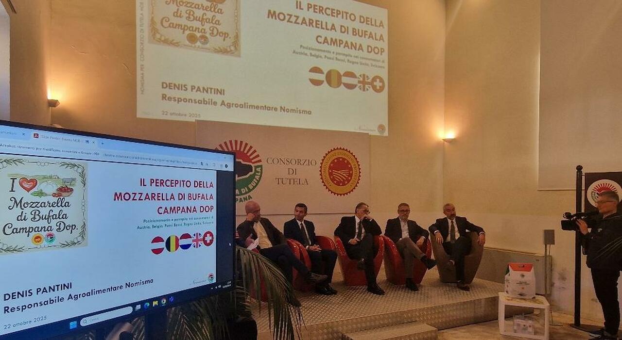 la sfida europea della mozzarella dop traino per leconomia