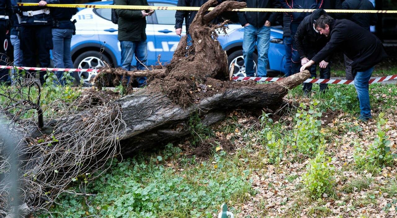 allerta vento su roma chiusi parchi cimiteri e strade a rischio ecco l ordinanza del sindaco
