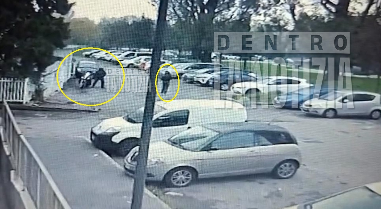 Luciana Ronchi uccisa, spunta il video poco prima di essere accoltellata dall Luciana Ronchi uccisa, spunta il video poco prima di essere accoltellata dall