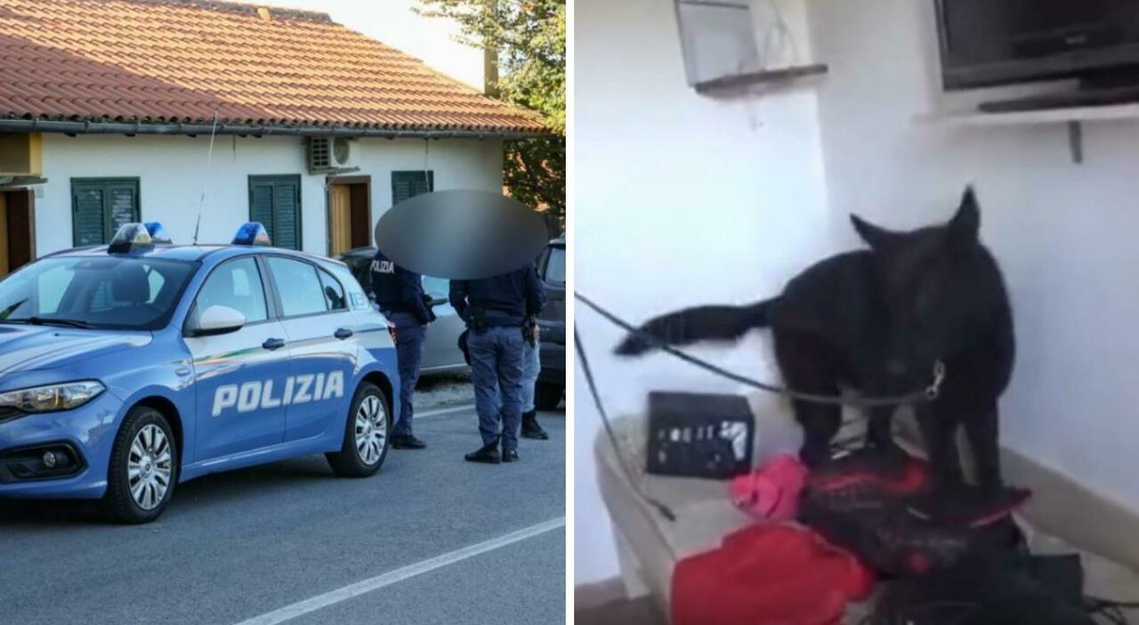 Maxi blitz in un casolare nel Fermano, sgominato clan criminale: sette arresti, preso anche il boss. I pizzini in arabo Maxi blitz in un casolare nel Fermano, sgominato clan criminale: sette arresti, preso anche il boss. I pizzini in arabo