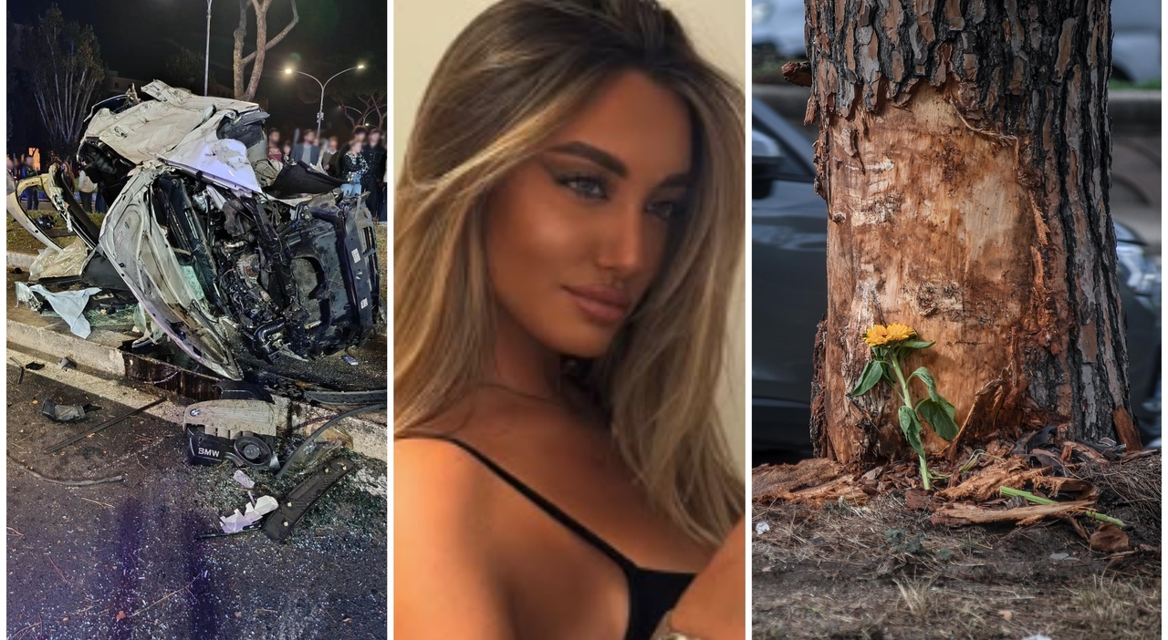 Beatrice Bellucci, chi sono i ragazzi della Bmw che ha travolto e ucciso la giovane: la folle corsa e l Beatrice Bellucci, chi sono i ragazzi della Bmw che ha travolto e ucciso la giovane: la folle corsa e l