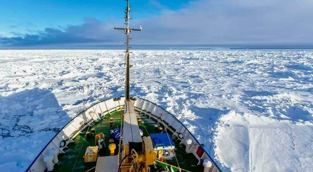 Il Krill, Putin e l?accusa di alto tradimento: un piccolo crostaceo scatena una guerra internazionale Il Krill, Putin e l?accusa di alto tradimento: un piccolo crostaceo scatena una guerra internazionale