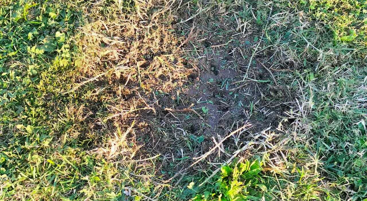 Petardo allo stadio, un boato e due persone a terra: un uomo svenuto e una donna stordita. Sospesa la partita Zona Marina Sampietrese Petardo allo stadio, un boato e due persone a terra: un uomo svenuto e una donna stordita. Sospesa la partita Zona Marina Sampietrese