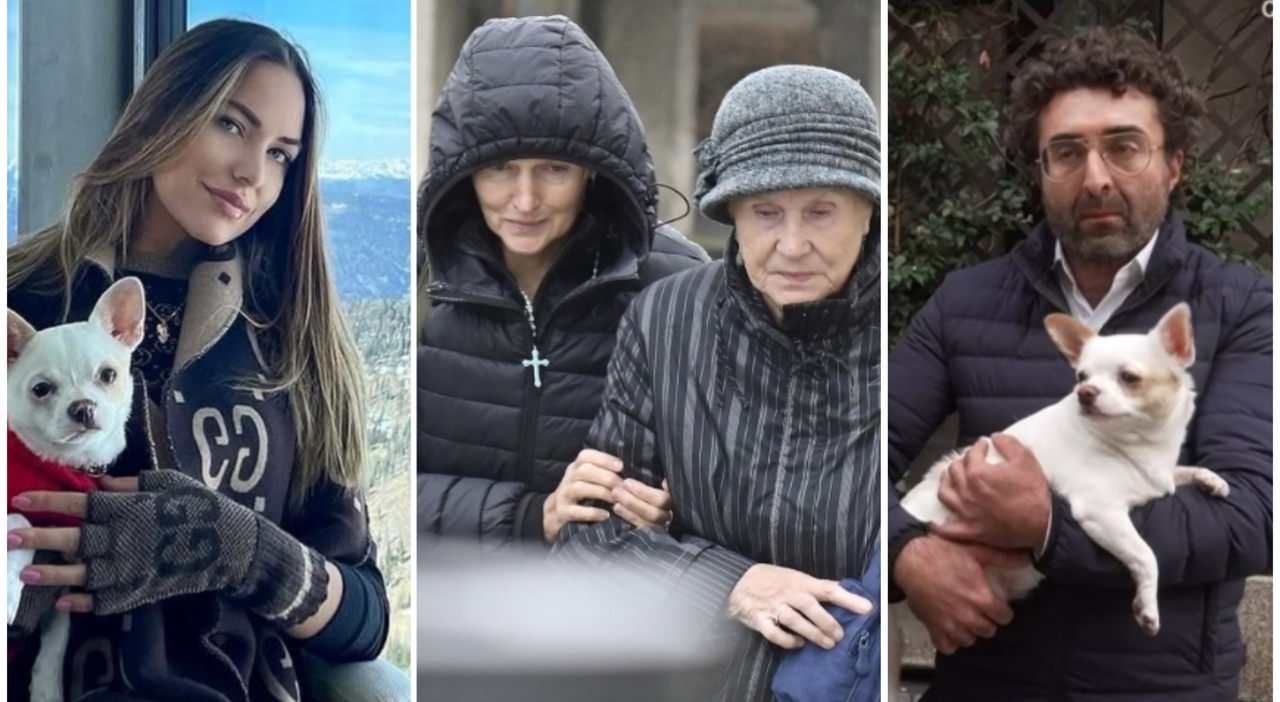 la cagnolina di pamela genini restituita alla mamma francesco dolci non voleva costretti a denunciare ma non vogliamo fargli del male da Leggo.it la cagnolina di pamela genini restituita alla mamma francesco dolci non voleva costretti a denunciare ma non vogliamo fargli del male