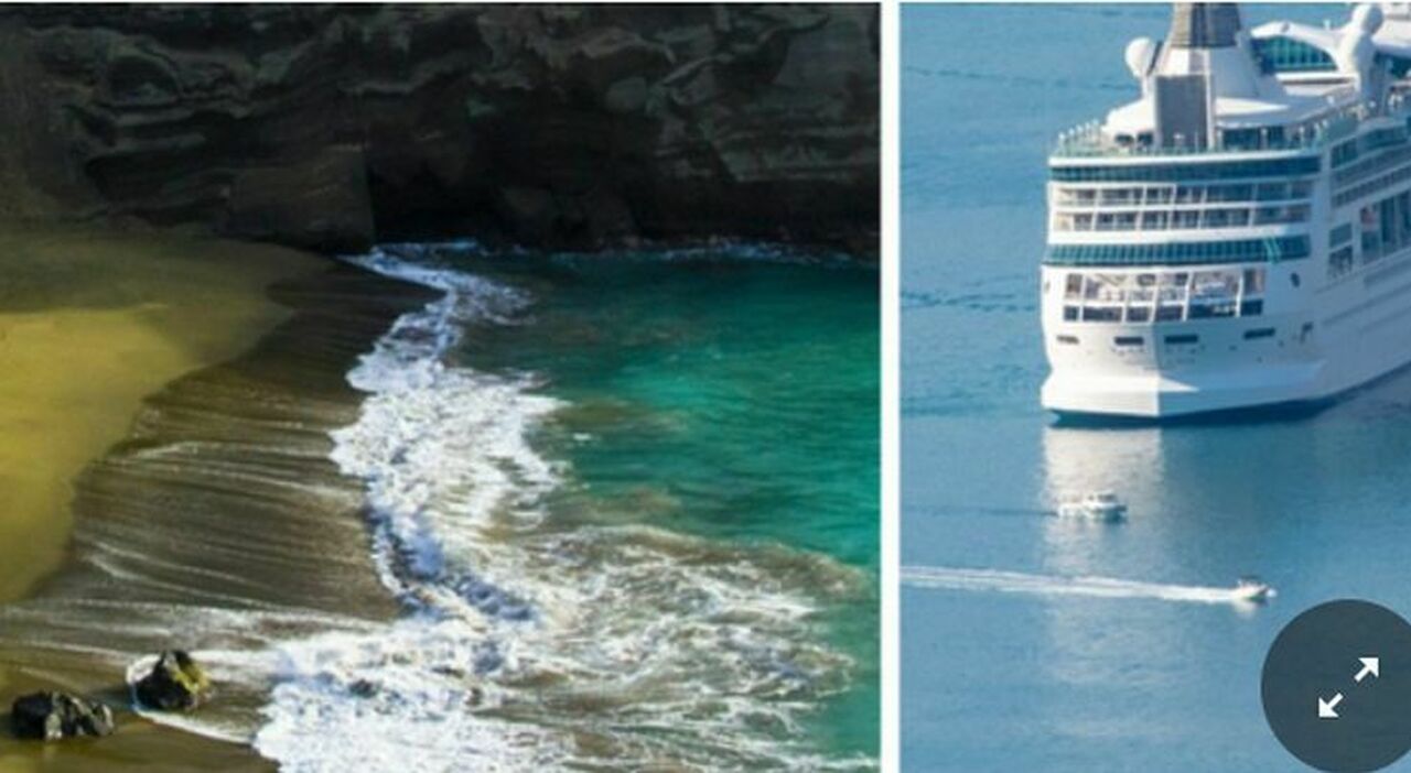 crociera riparte lasciando una passeggera su un isola deserta in australia trovata morta nessuno se ne era accorto da Ilmessaggero.it crociera riparte lasciando una passeggera su un isola deserta in australia trovata morta nessuno se ne era accorto