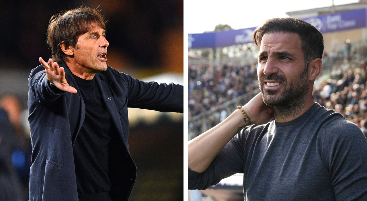 Napoli Como, dove vederla in tv e streaming: orario e probabili formazioni. Conte ritrova Hojlund Napoli Como, dove vederla in tv e streaming: orario e probabili formazioni. Conte ritrova Hojlund