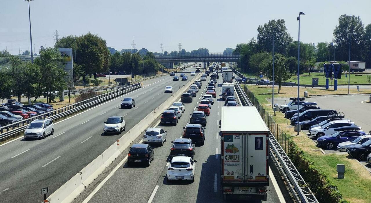 incidente sulla statale 16 25enne ucciso da un auto mentre aiuta un ferito da Quotidianodipuglia.it incidente sulla statale 16 25enne ucciso da un auto mentre aiuta un ferito
