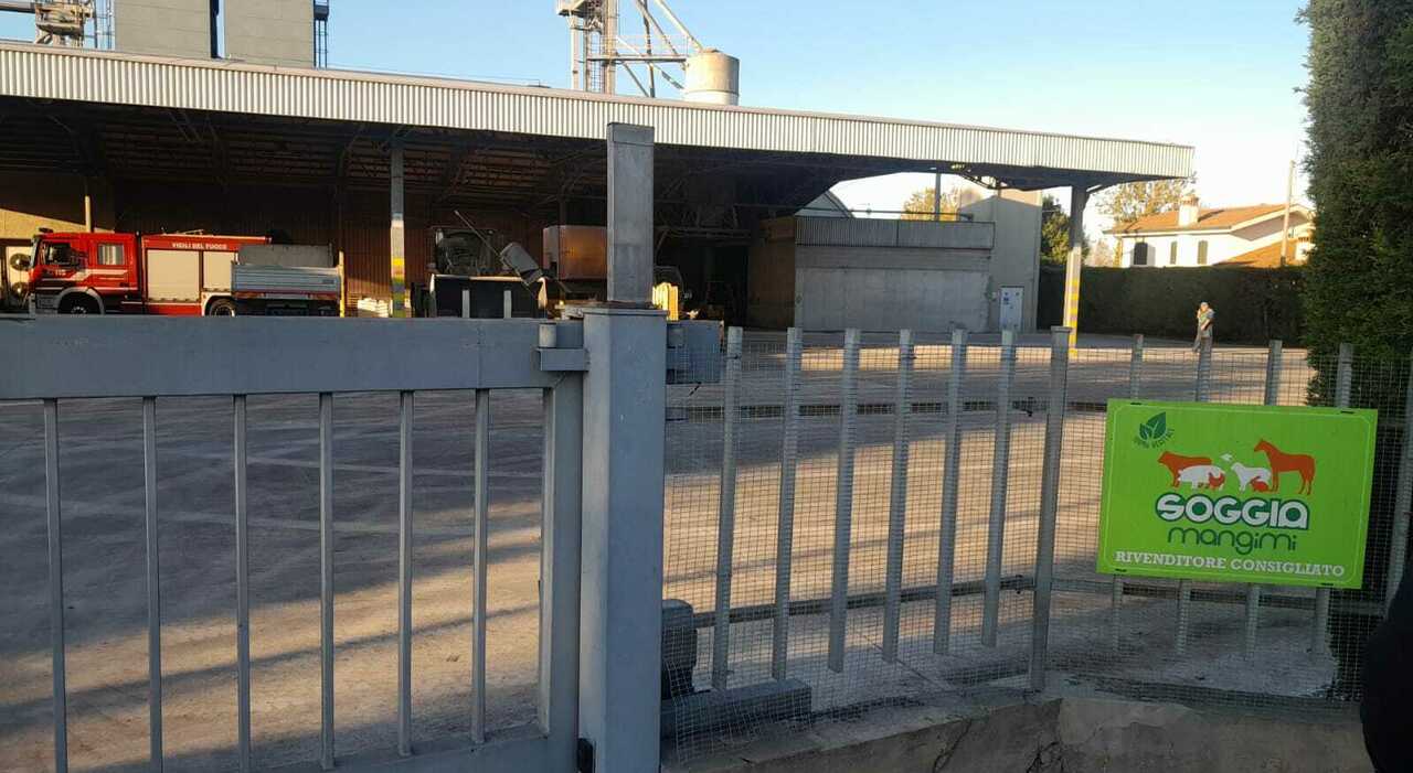 operaio muore cadendo da 10 metri davanti al collega mentre stava eseguendo delle manutenzioni in un capannone da Ilgazzettino.it operaio muore cadendo da 10 metri davanti al collega mentre stava eseguendo delle manutenzioni in un capannone