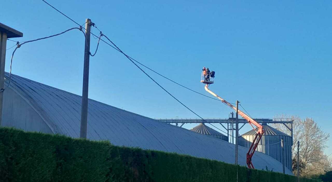 Operaio 47enne muore cadendo dal tetto del silos davanti al collega mentre fa manutenzione in un capannone