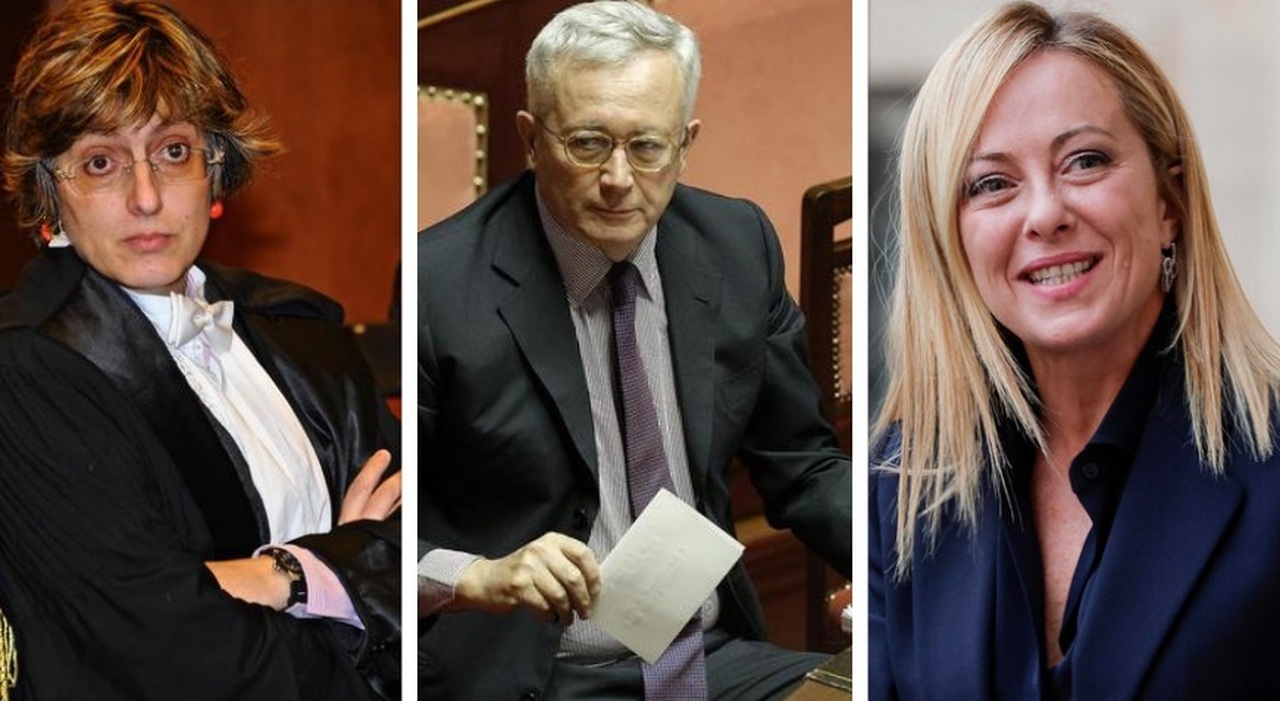 Redditi dei parlamentari, Giulia Bongiorno la più ricca (3 milioni), segue Tremonti. Meloni dimezza, Schlein sotto i 100mila euro