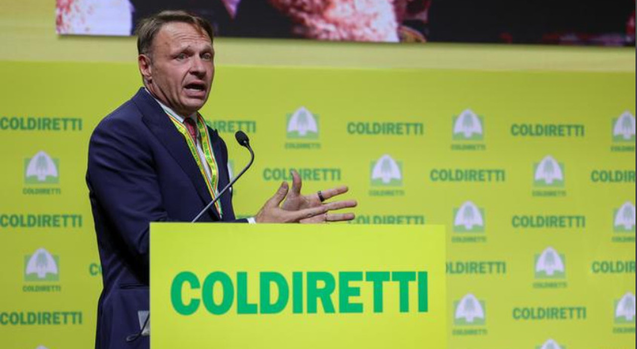 L?agricoltura piace ai giovani tesoretto per le nuove aziende