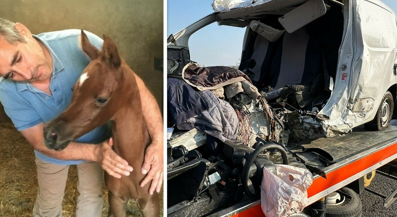 Incidente Bergamo, le vetture distrutte e la carambola dopo il frontale: due donne in una terza auto. «Illese ma sotto choc» Incidente Bergamo, le vetture distrutte e la carambola dopo il frontale: due donne in una terza auto. «Illese ma sotto choc»