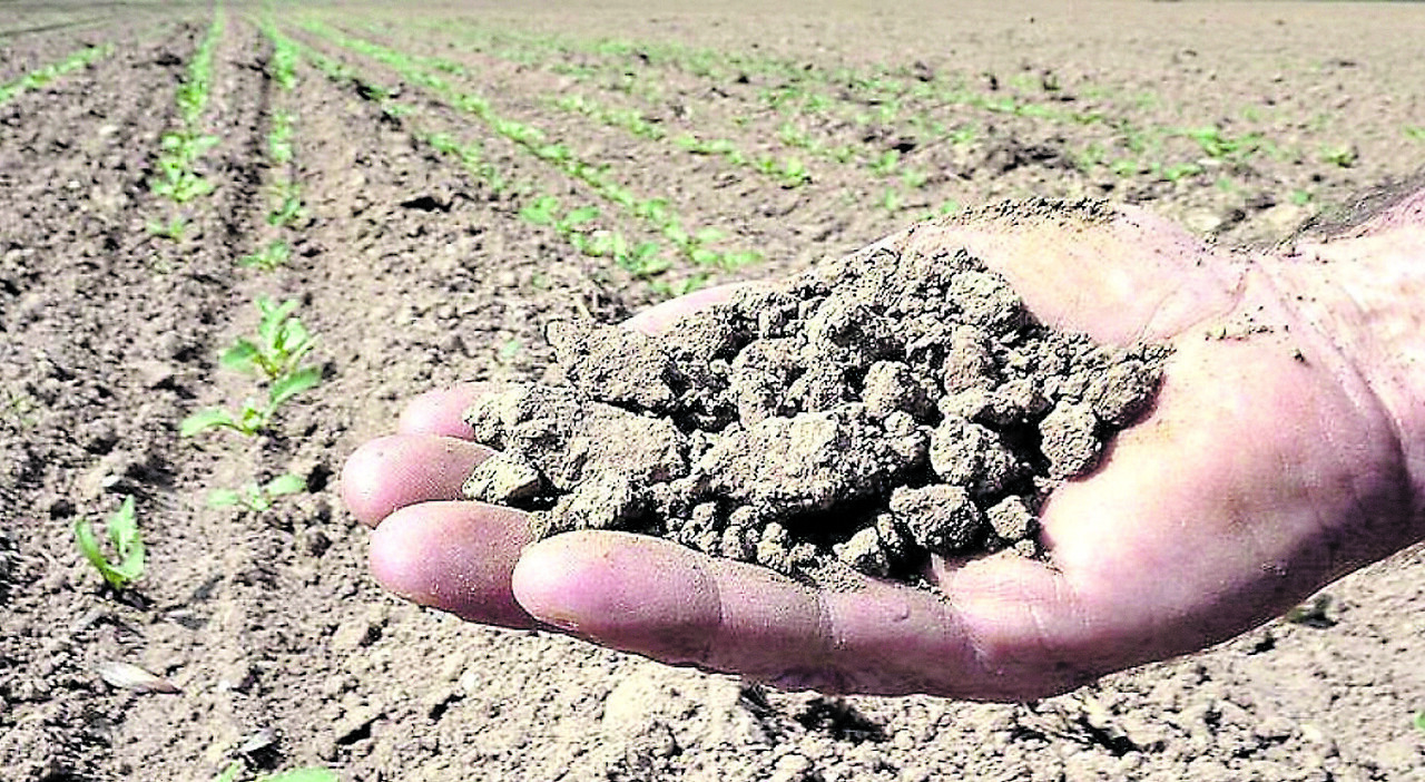 Poche piogge e in brevi periodi: cosi la Puglia ha perso il 23% delle precipitazioni in un anno