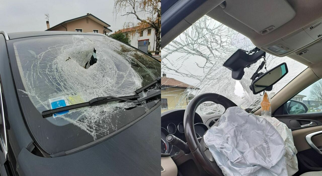 Cervo sbuca sulla strada e sfonda il parabrezza, miracolato il conducente: ?«Ora l?auto è da buttare». Arrivano i sensori salvavita Cervo sbuca sulla strada e sfonda il parabrezza, miracolato il conducente: ?«Ora l?auto è da buttare». Arrivano i sensori salvavita