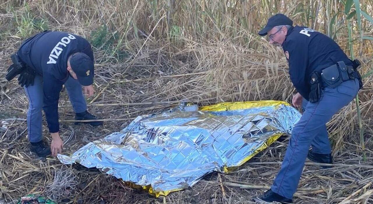 Il cane Mela trascina la padrona nel canneto e trova il cadavere di Filippo Siciliano con uno squarcio sulla schiena a Porto San Giorgio Il cane Mela trascina la padrona nel canneto e trova il cadavere di Filippo Siciliano con uno squarcio sulla schiena a Porto San Giorgio