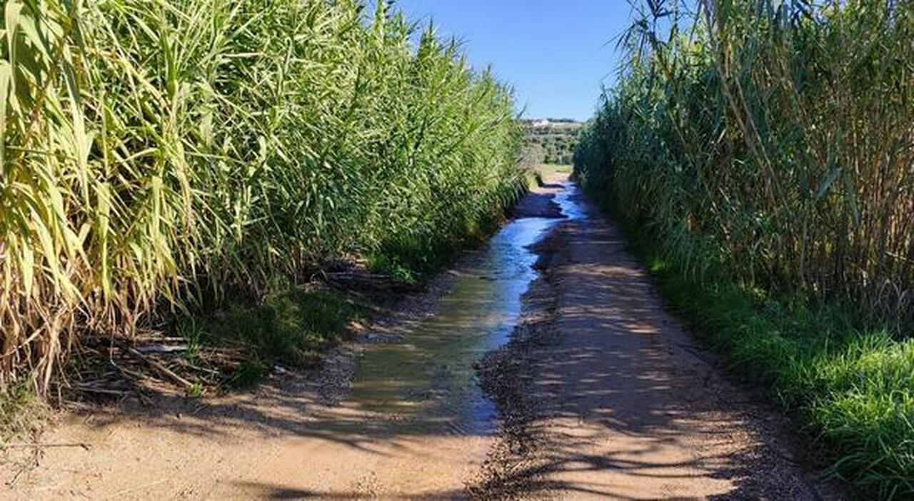 Crisi idrica, viaggio tra le sorgenti e le opere incompiute: cosi si disperde l Crisi idrica, viaggio tra le sorgenti e le opere incompiute: cosi si disperde l