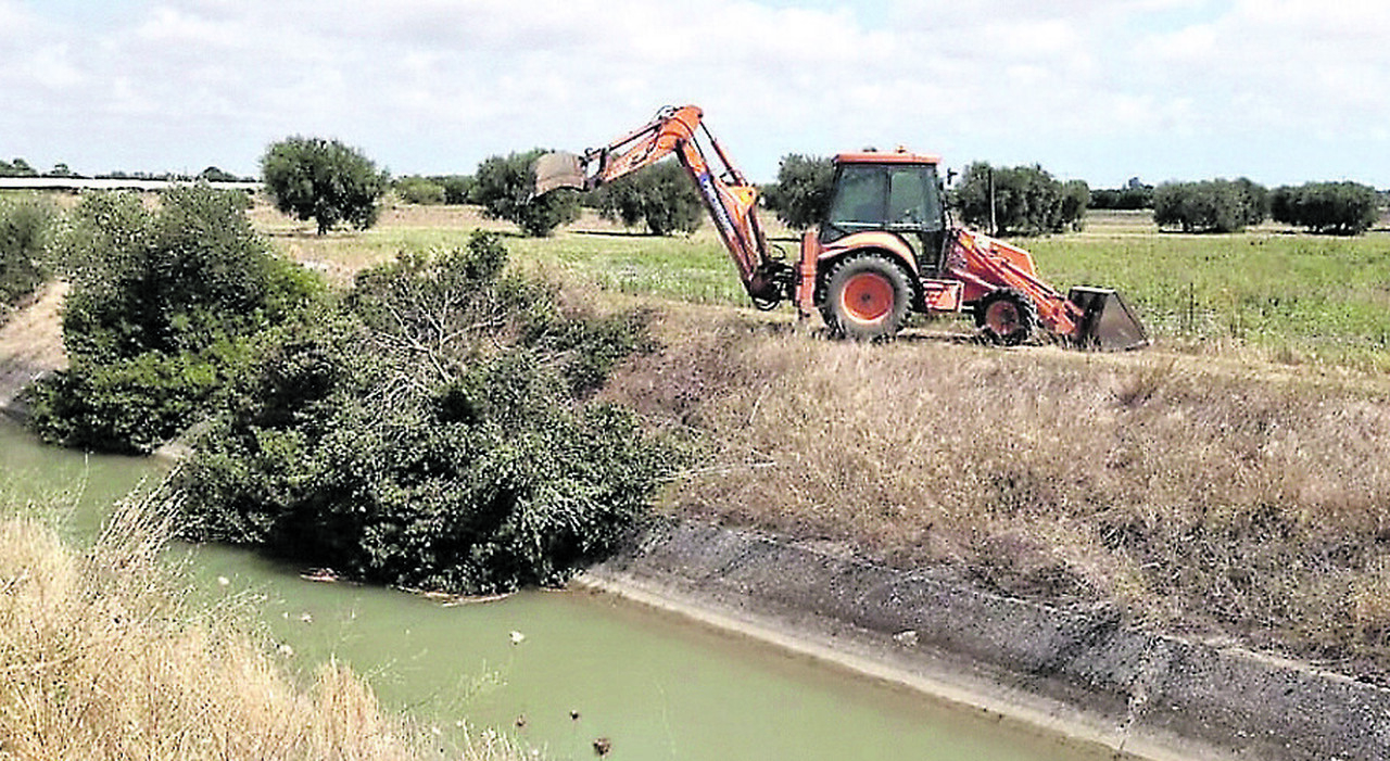 Consorzio di bonifica, dalla Regione ok al piano: ora nuovi calcoli per il tributo 630. Cosa cambia Consorzio di bonifica, dalla Regione ok al piano: ora nuovi calcoli per il tributo 630. Cosa cambia