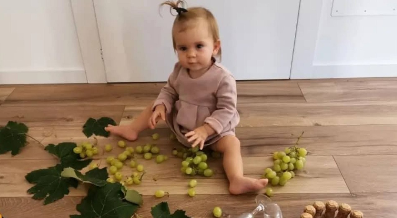 Ludovica morta a 2 anni per una meningite batterica, il parco giochi in suo onore: nasce il progetto 