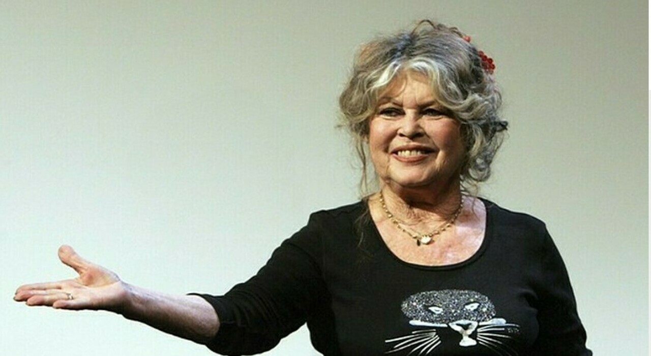 https://statics.cedscdn.it/photos/MED_HIGH/2025/11/24/9208474_24192946_brigitte_bardot_ricoverata_come_sta_ultime_notizie_.jpg